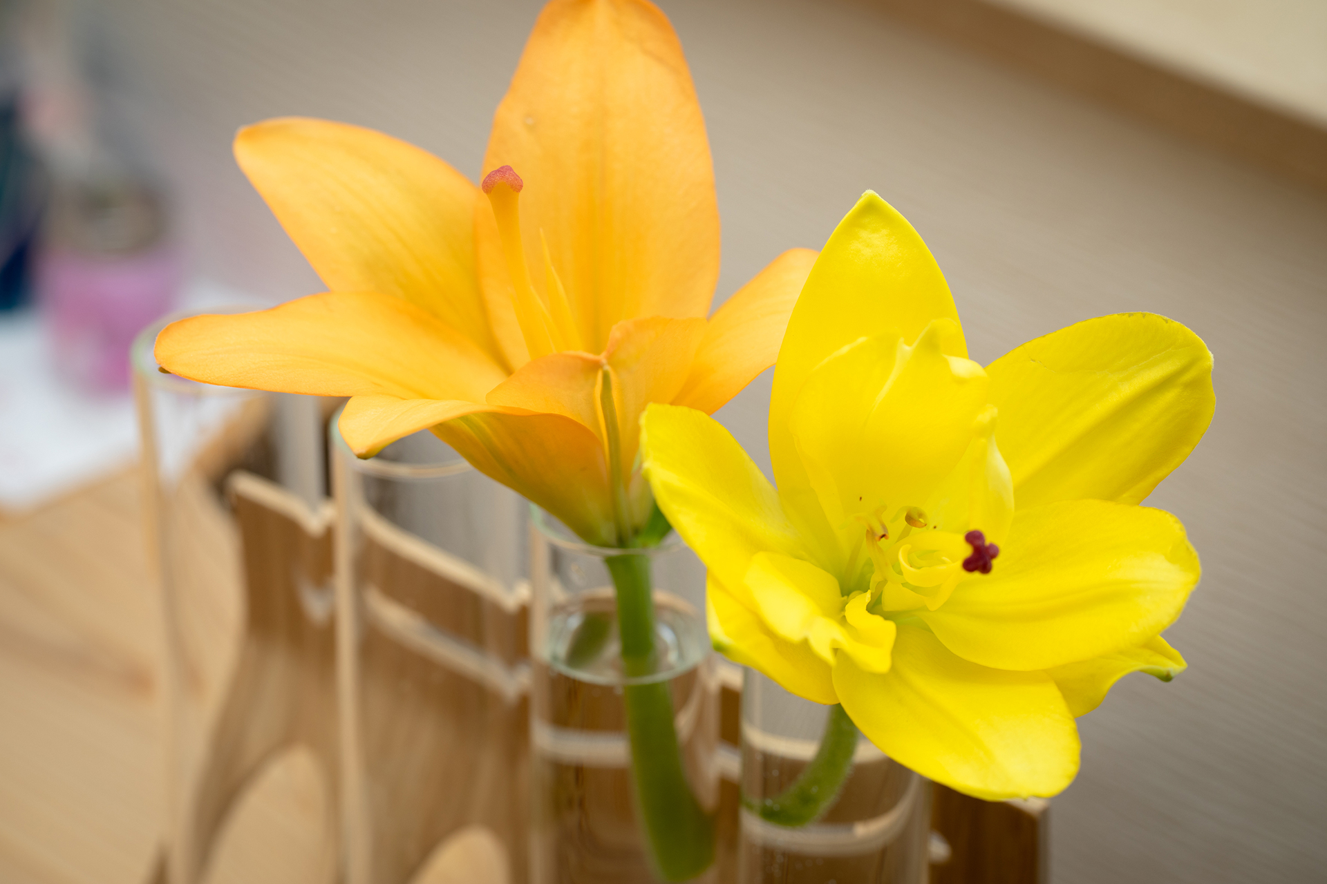 ゆりしごと千歳園のユリの花